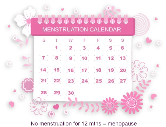 What Causes Menopause? - Calendar representing 12 months without a menstrual cycle which is a confirmation of menopause.